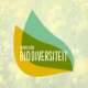 biodiversiteitsherstel
